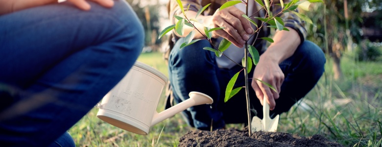 Two people watering plants.