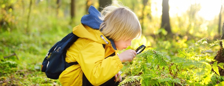 A boy using a magnifying glass in the woods.