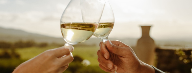 Two people holding up glasses of wine.
