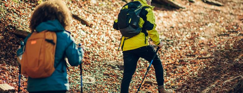 A couple hiking through a forest in autumn.