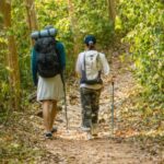 Two people hiking in a forest.