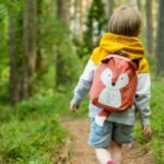 A child following a path through a wood.