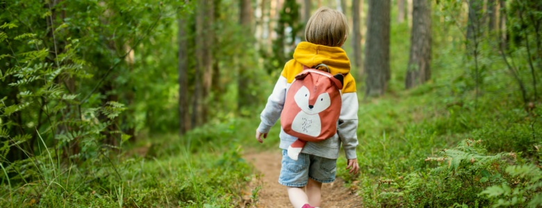 A child following a path through a wood.