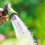 A man watering outdoor plants.
