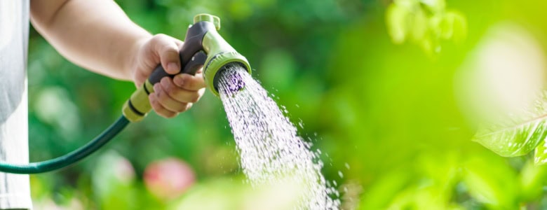 A man watering outdoor plants.