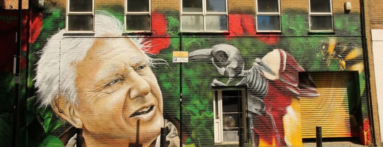 A mural of David Attenborough.