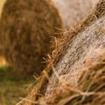 A haystack in a field.