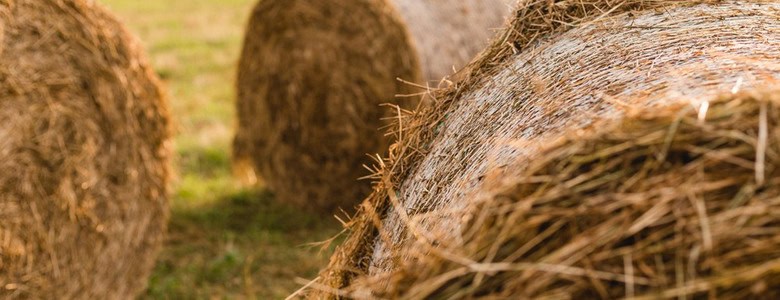 A haystack in a field.