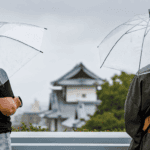 Two people standing under umbrellas on a grey day.
